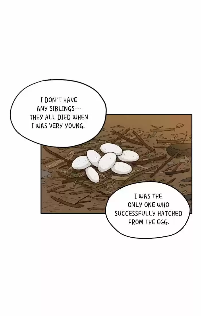 How To Become A Dragon Chapter 8