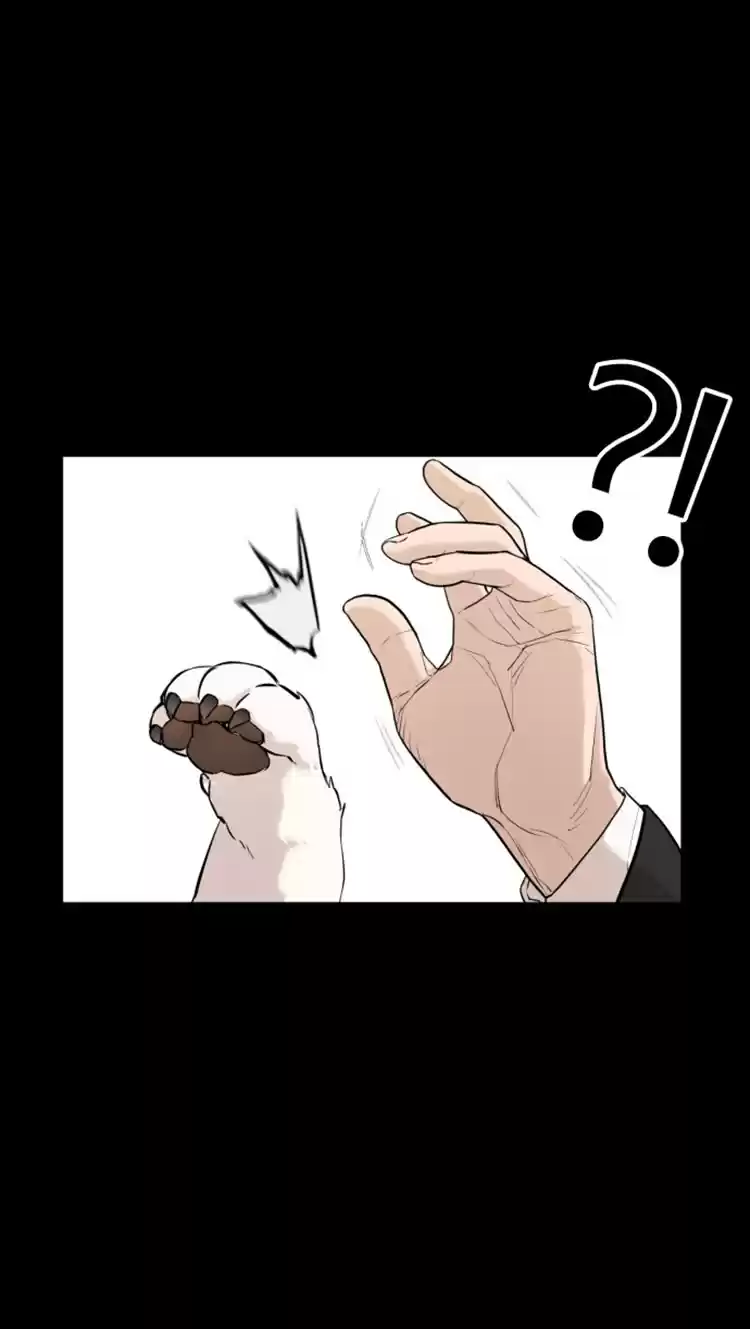 How to Fight Ch. 13 Daydreaming