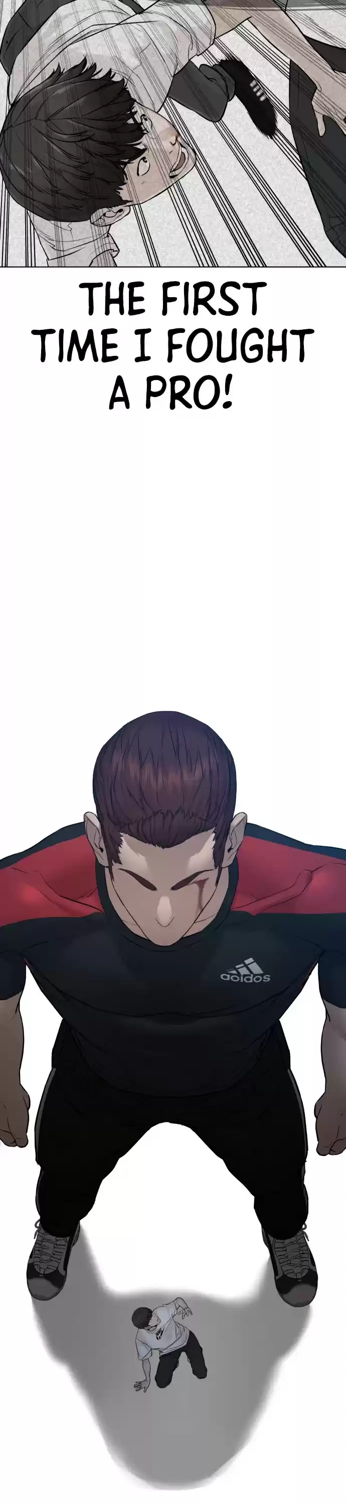 How To Fight Chapter 108