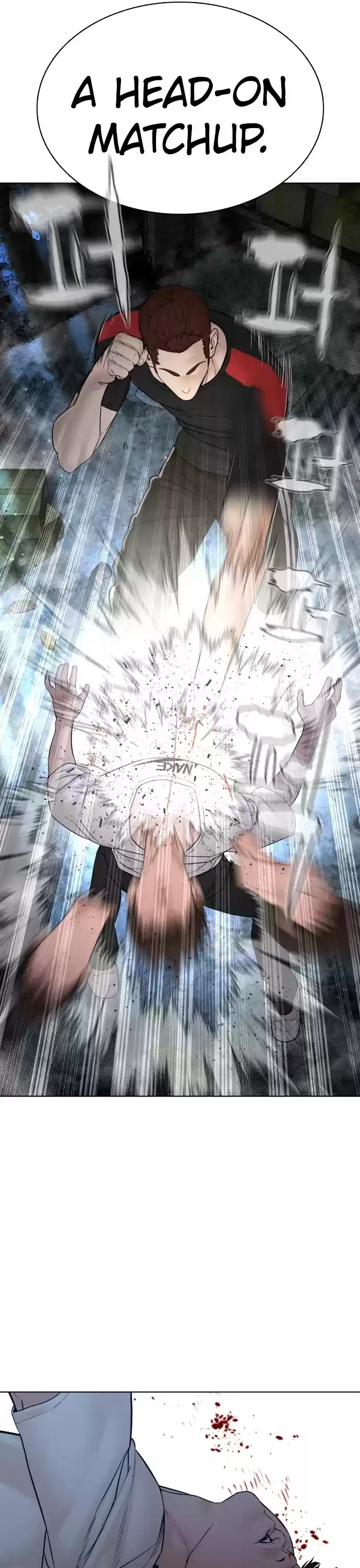 How To Fight Chapter 108