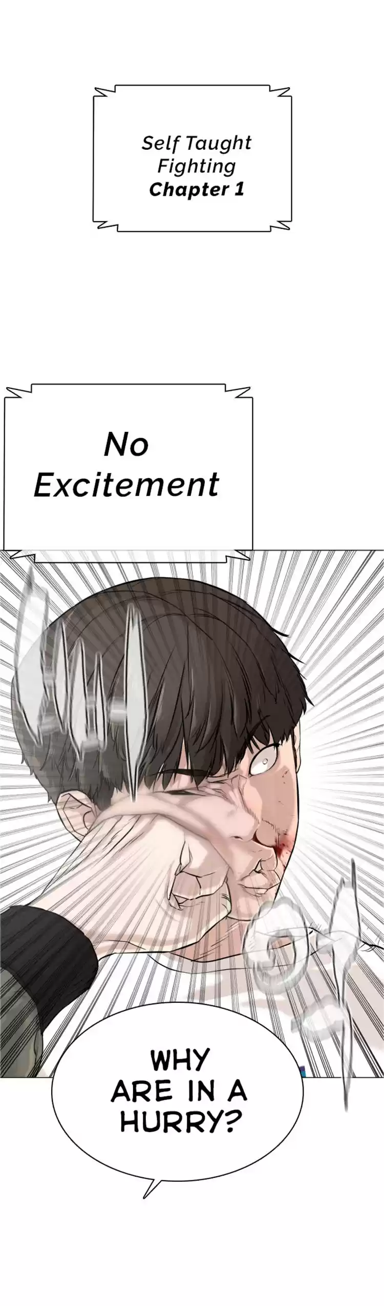 How To Fight Chapter 17: Have You Ever Been Into A Real Fight?