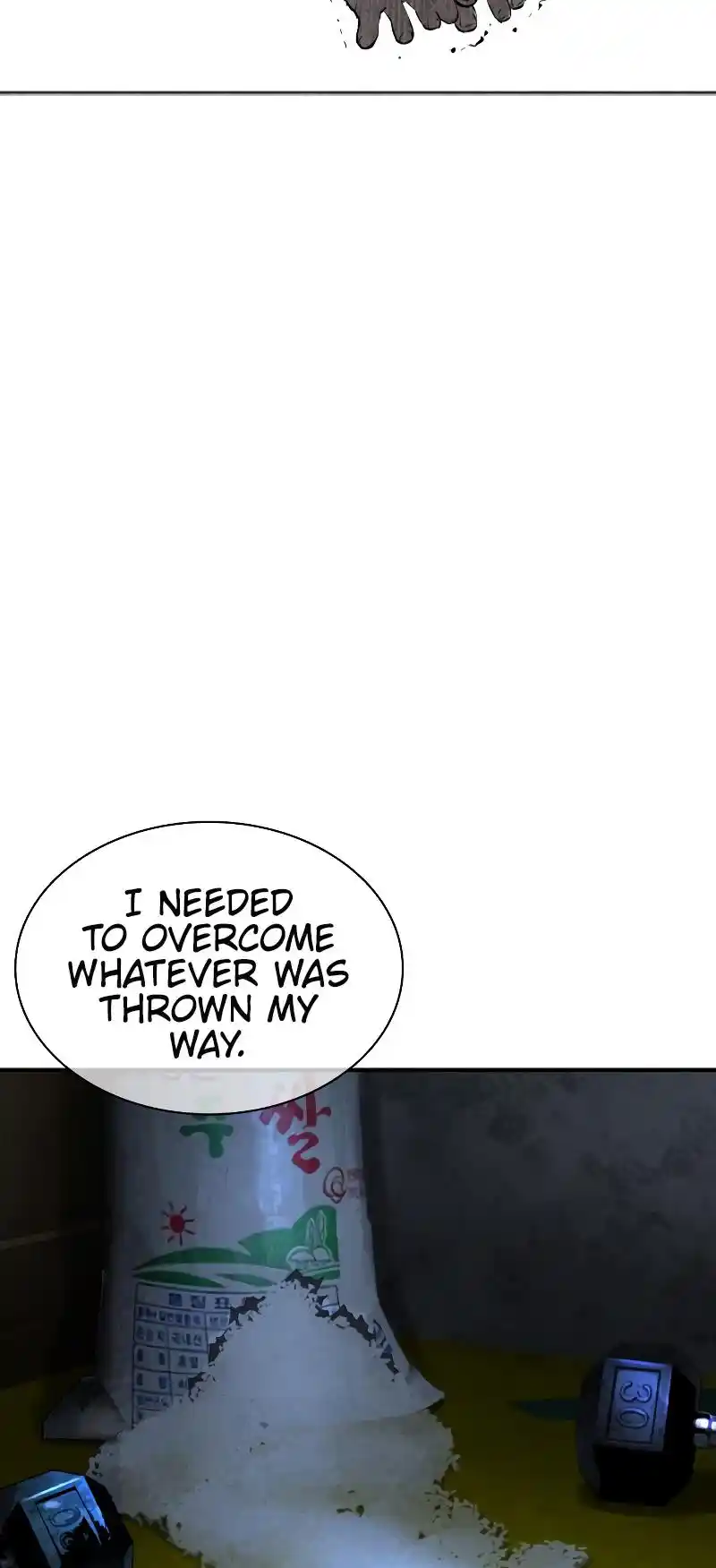 How To Fight Chapter 215