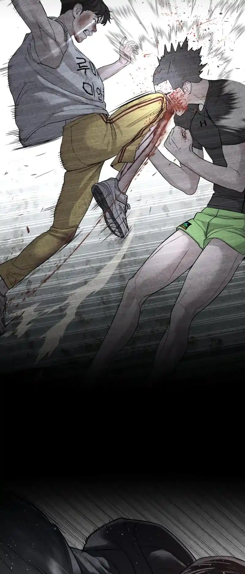 How To Fight Chapter 215