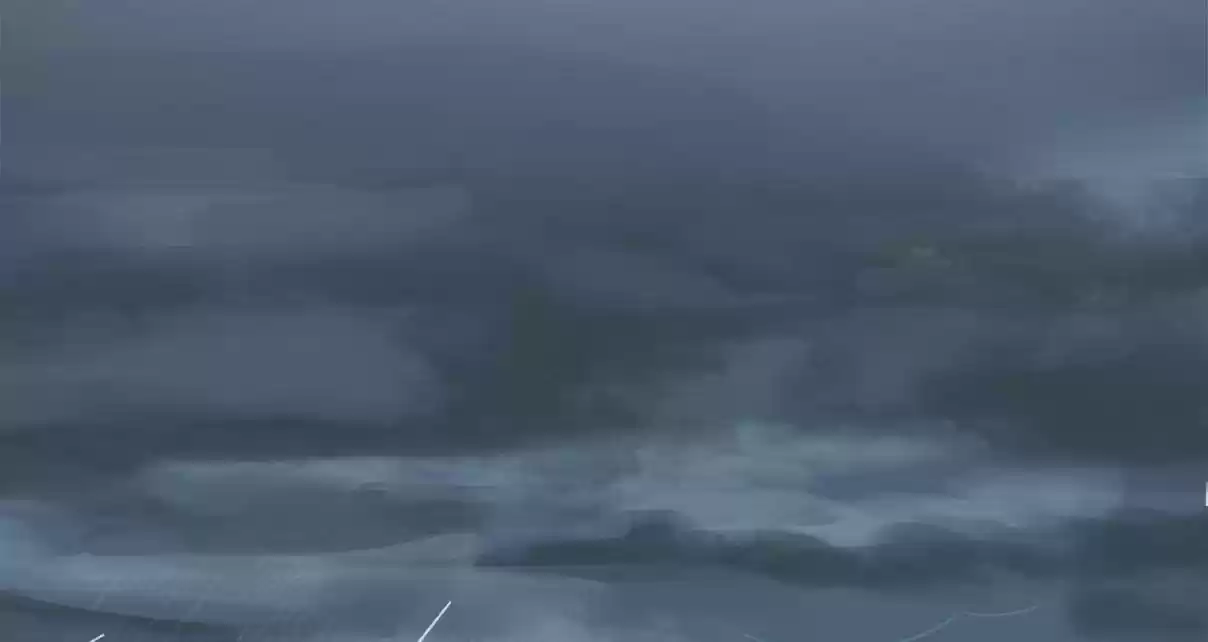 How To Properly Care For Your Pet Wife 1 ARRIVAL OF THE DRAGON KING?