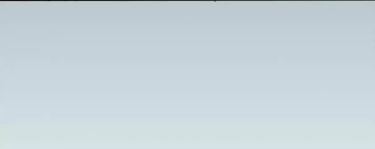 How To Properly Care For Your Pet Wife 1 ARRIVAL OF THE DRAGON KING?