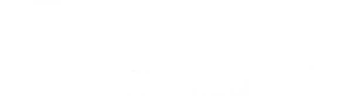 How To Properly Care For Your Pet Wife 10 The Little Box's Secret