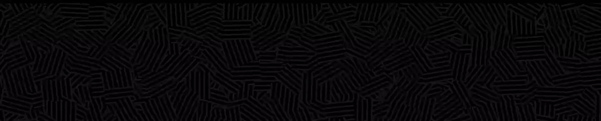 How To Properly Care For Your Pet Wife 17 A Dream Come True