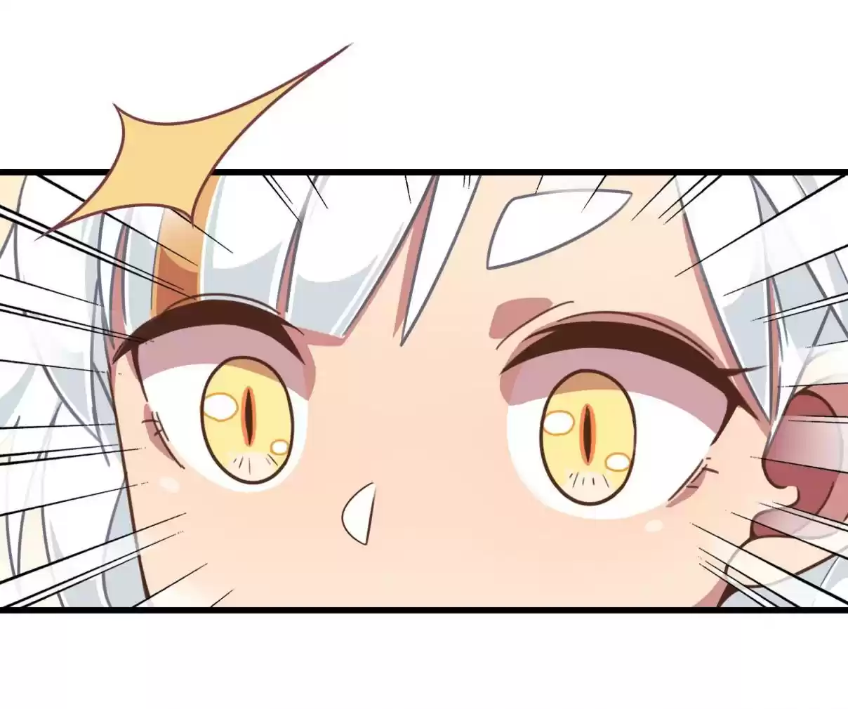 How To Properly Care For Your Pet Wife 17 A Dream Come True