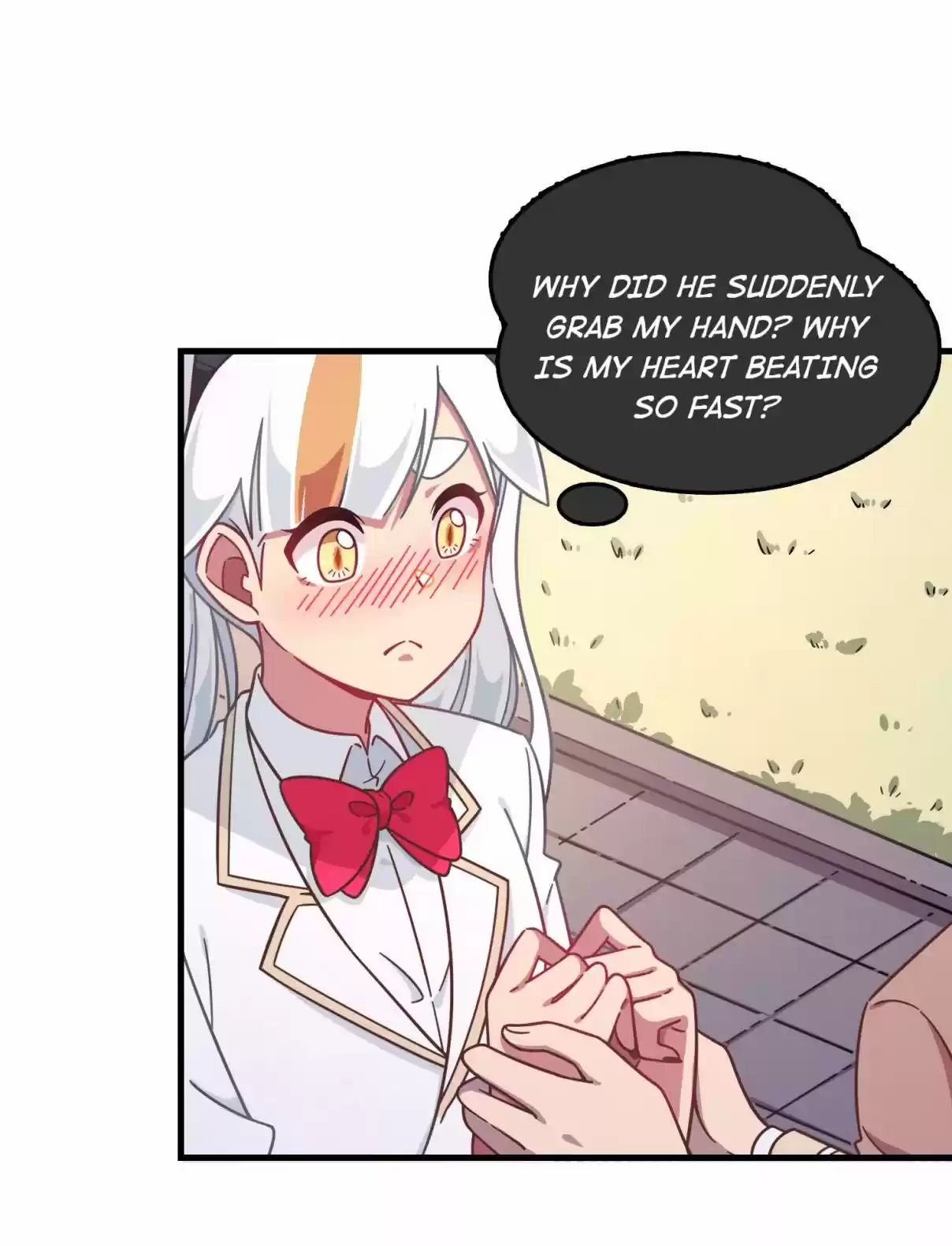 How to Properly Care for Your Pet Wife 49.2