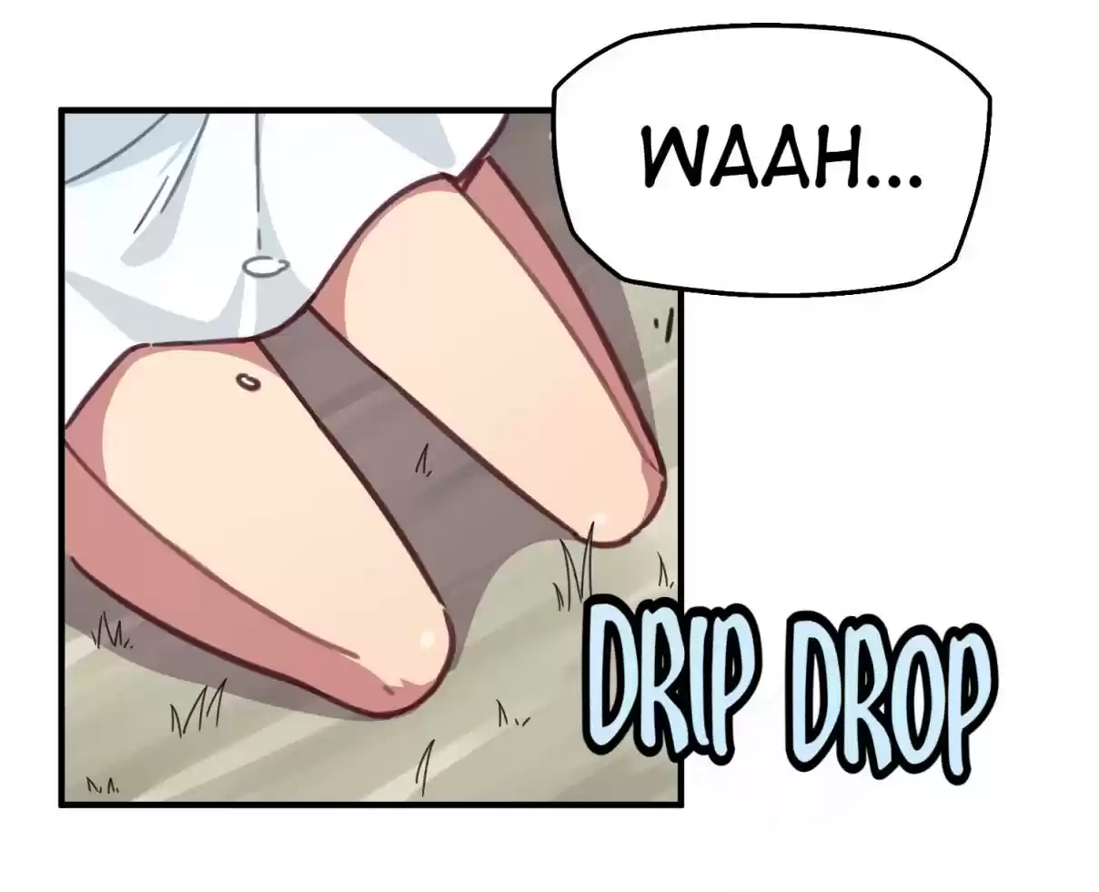 How To Properly Care For Your Pet Wife 9 New Best Friend