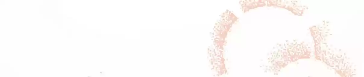 How To Properly Care For Your Pet Wife 9 New Best Friend