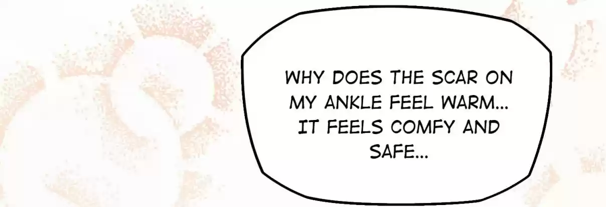 How To Properly Care For Your Pet Wife 9 New Best Friend