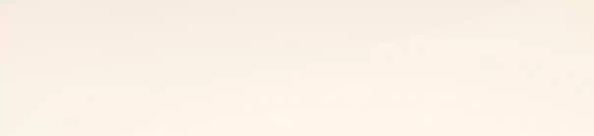 How To Properly Care For Your Pet Wife 9 New Best Friend