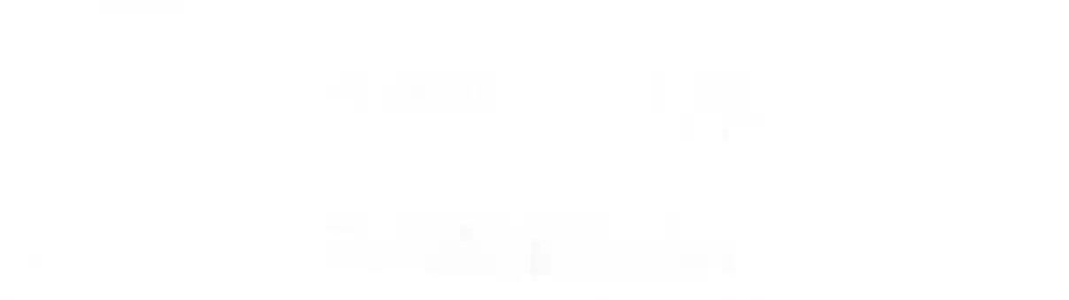 How To Properly Care For Your Pet Wife 9 New Best Friend