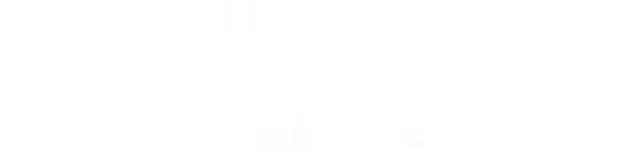 How To Properly Care For Your Pet Wife 9 New Best Friend