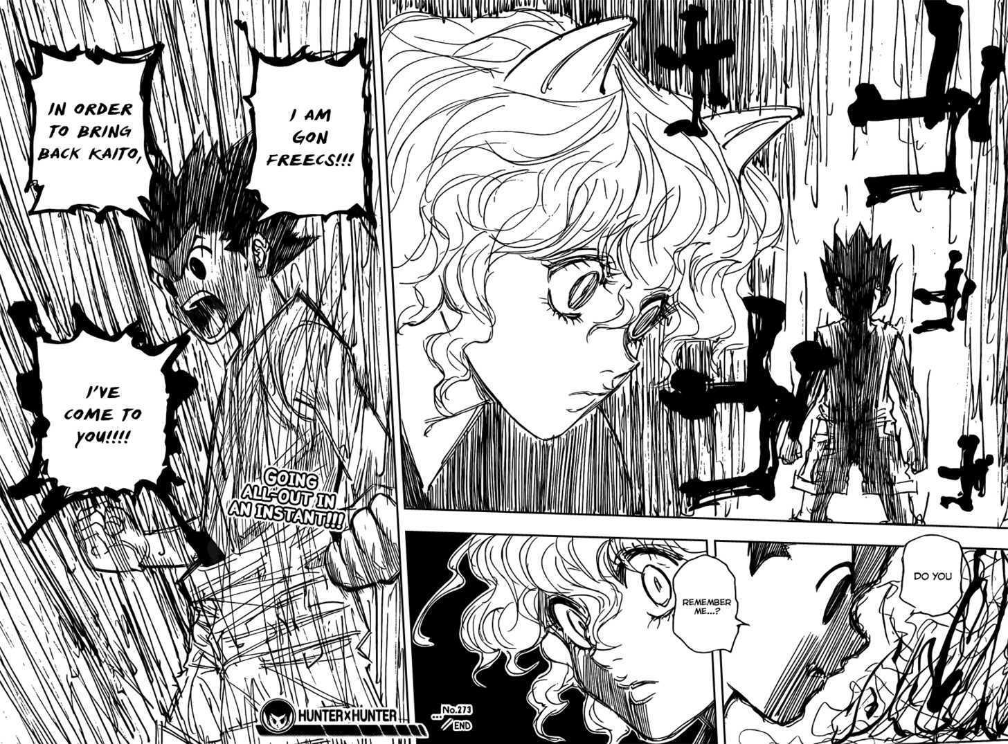 Hunter X Hunter 273