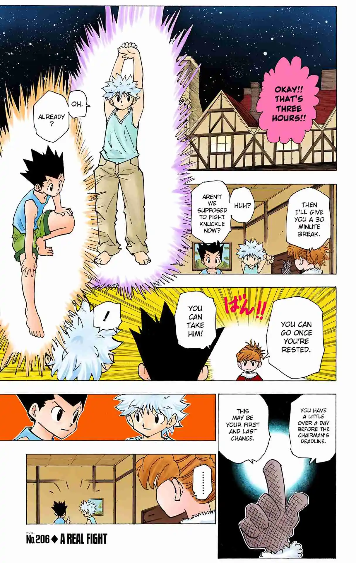 HUNTER x HUNTER - DIGITAL COLORED COMICS 206