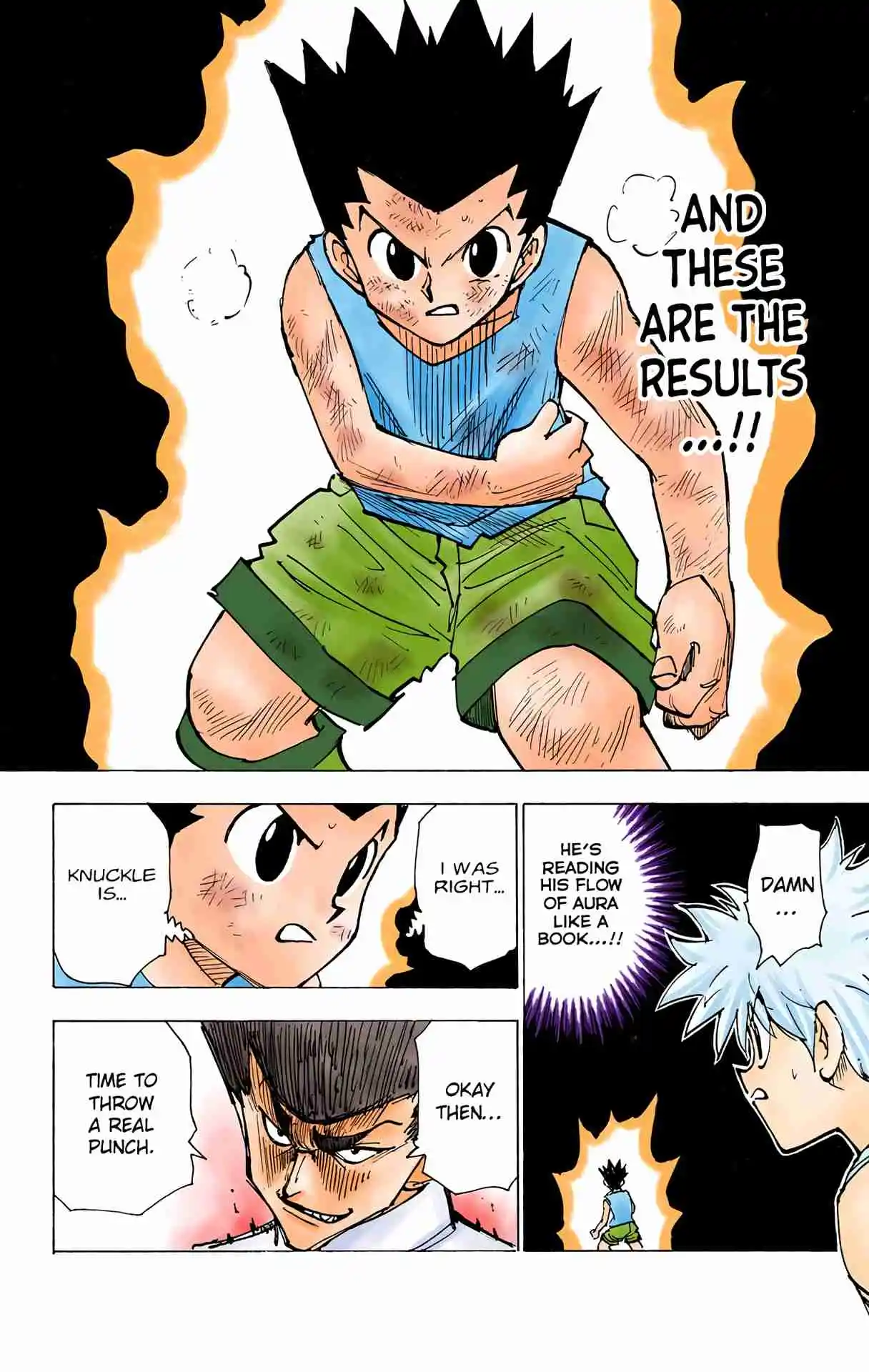HUNTER x HUNTER - DIGITAL COLORED COMICS 207