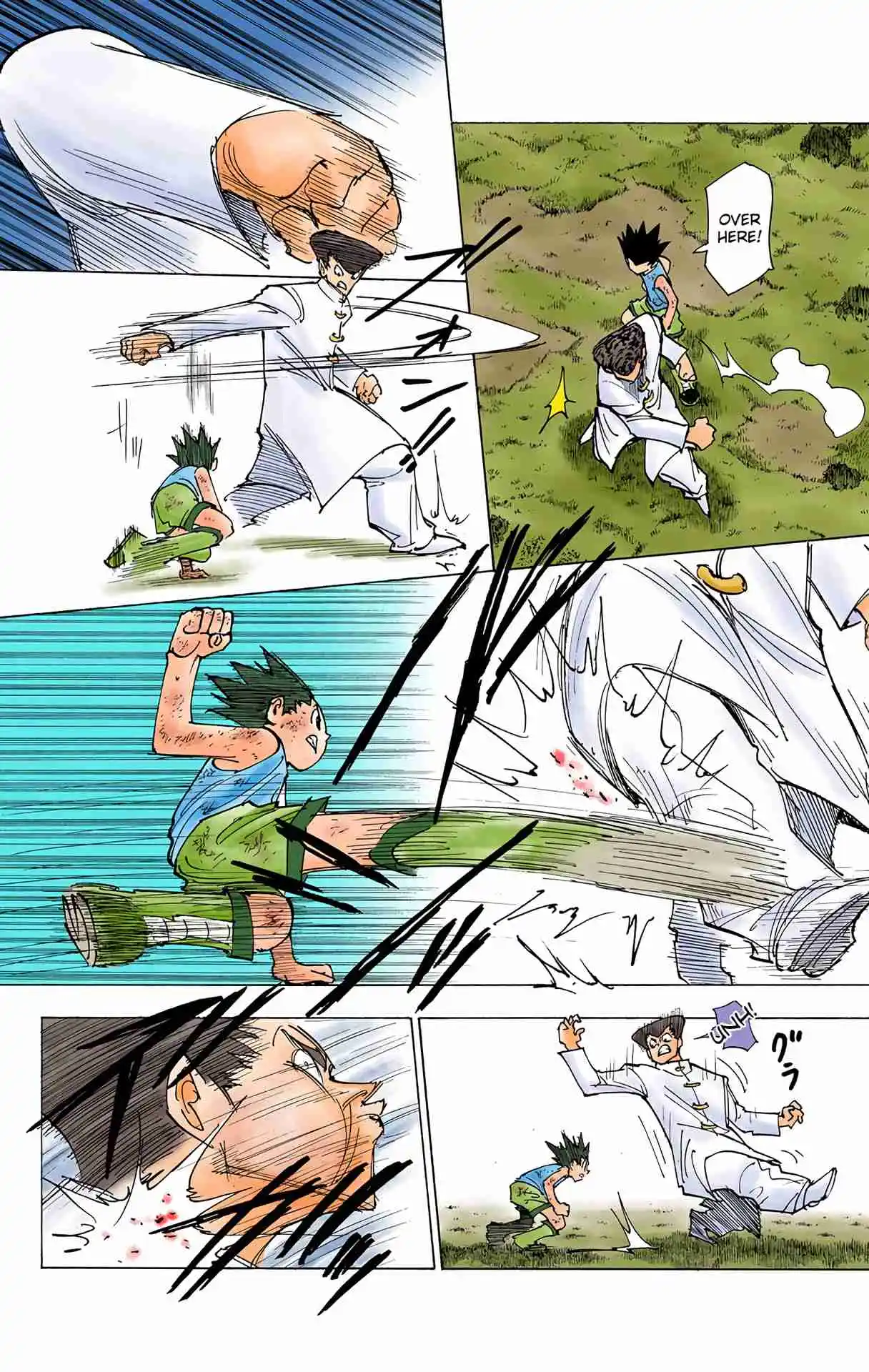 HUNTER x HUNTER - DIGITAL COLORED COMICS 208