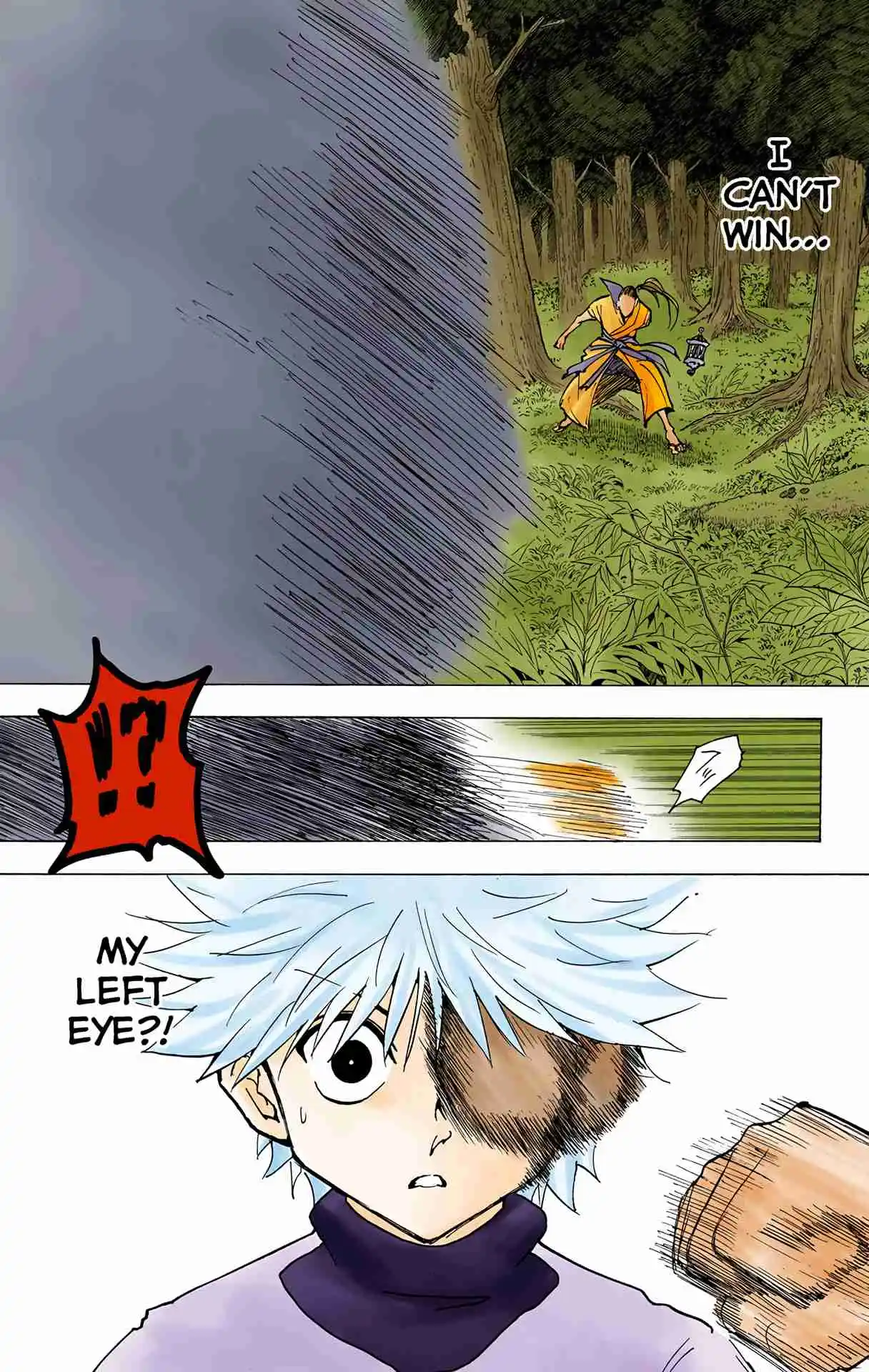 HUNTER x HUNTER - DIGITAL COLORED COMICS 212