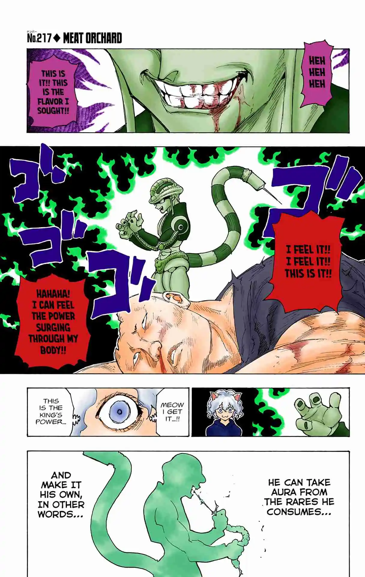 HUNTER x HUNTER - DIGITAL COLORED COMICS 217