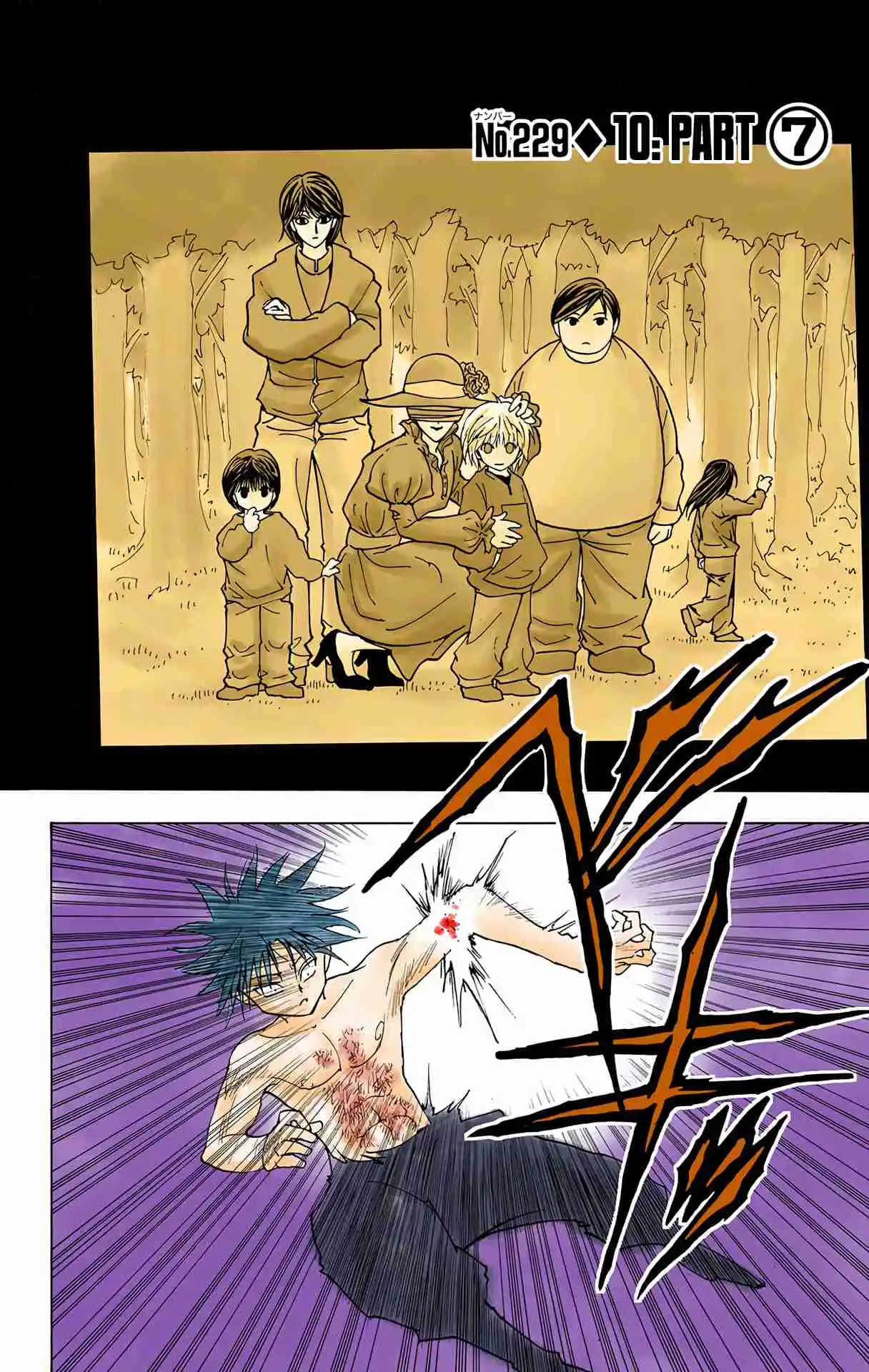 HUNTER x HUNTER - DIGITAL COLORED COMICS 229