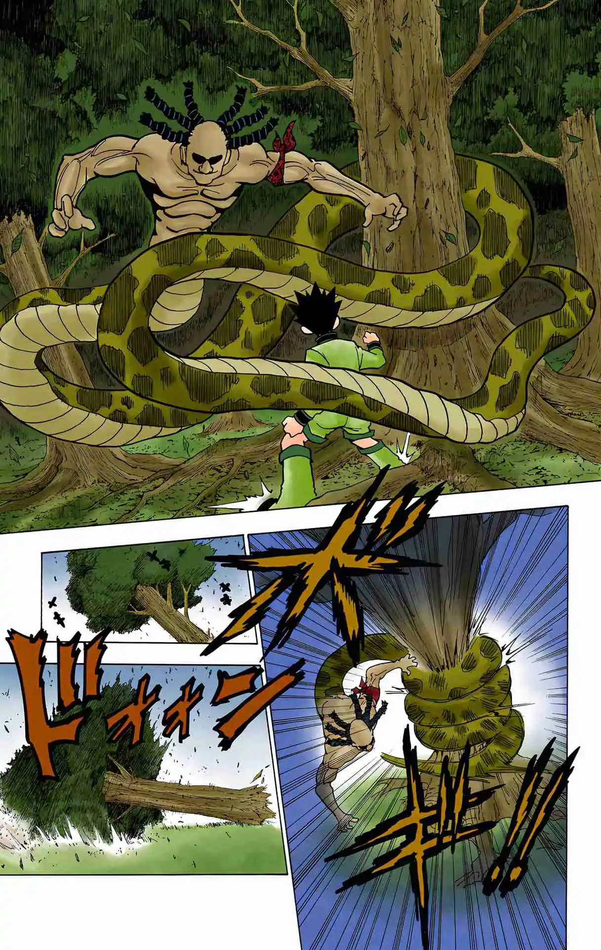 HUNTER x HUNTER - DIGITAL COLORED COMICS 231