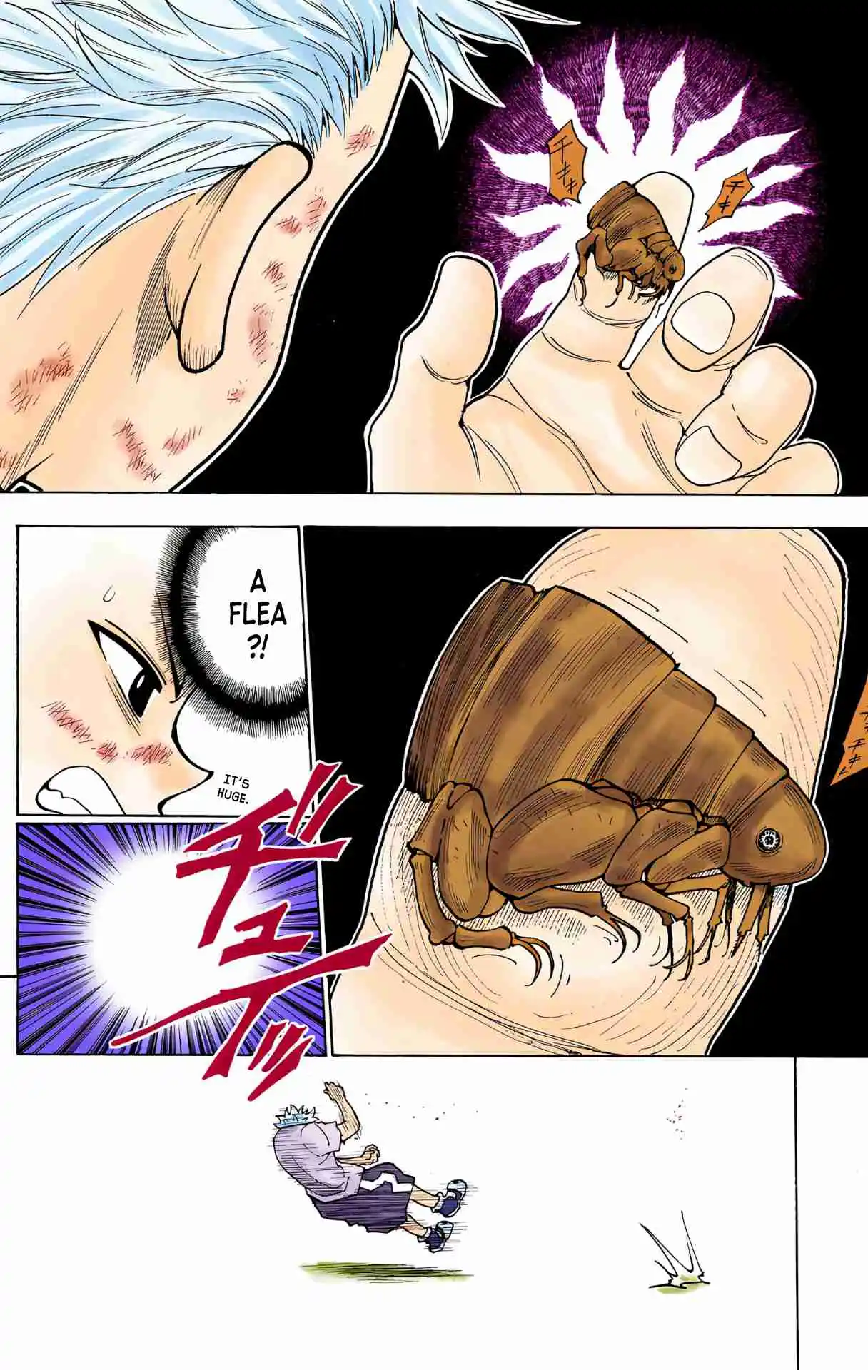 HUNTER x HUNTER - DIGITAL COLORED COMICS 236