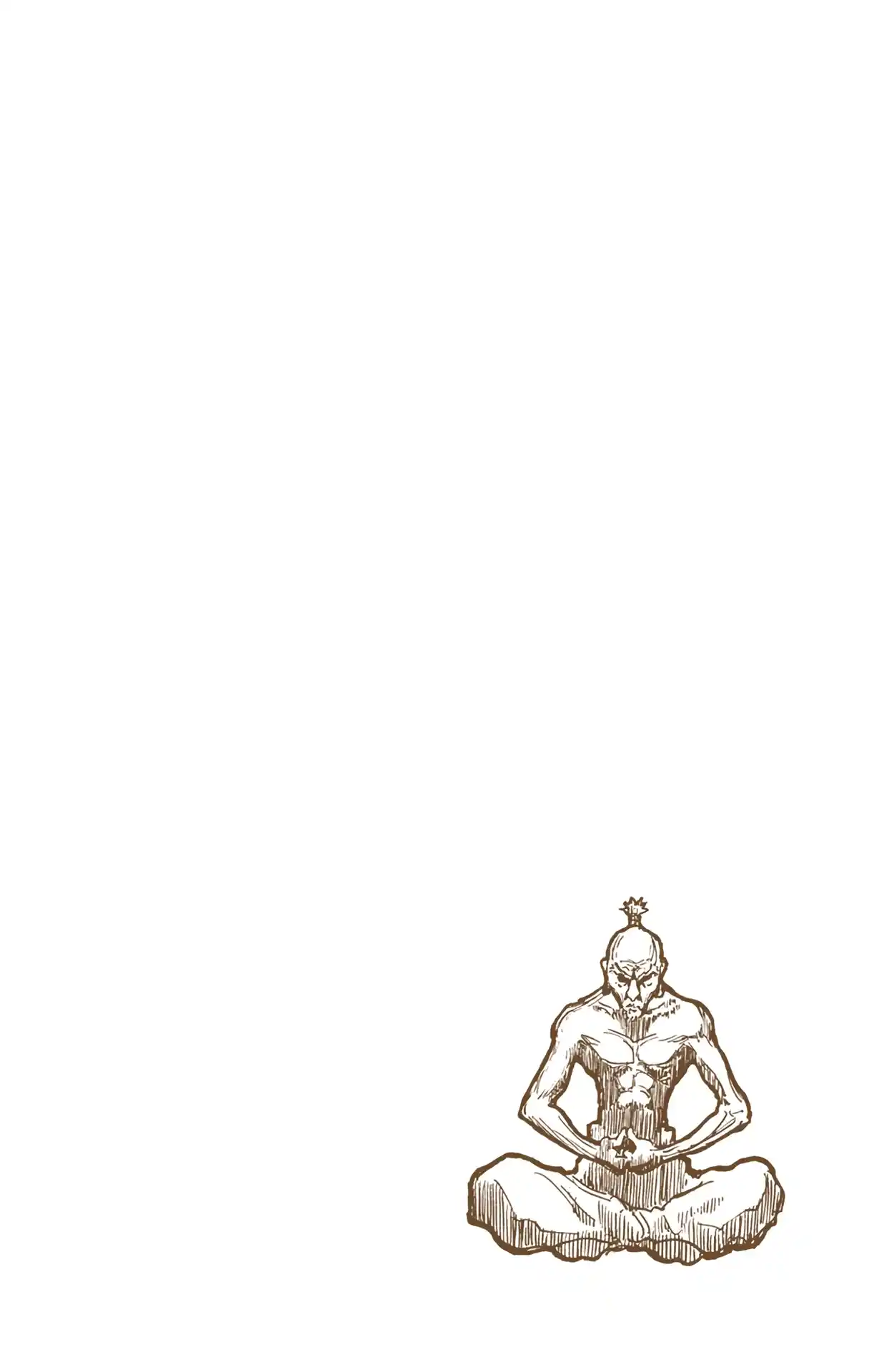 HUNTER x HUNTER - DIGITAL COLORED COMICS 243