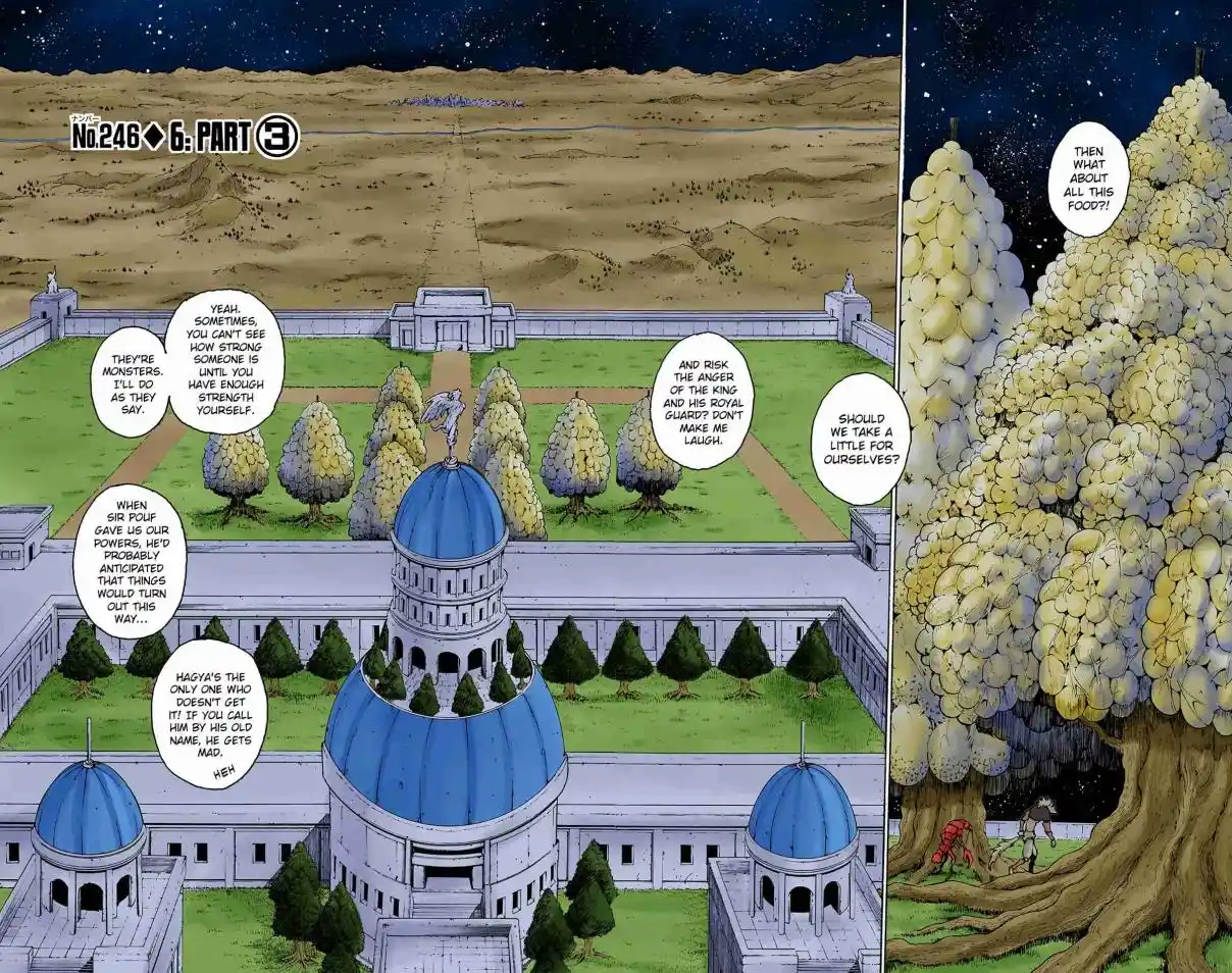 HUNTER x HUNTER - DIGITAL COLORED COMICS 246