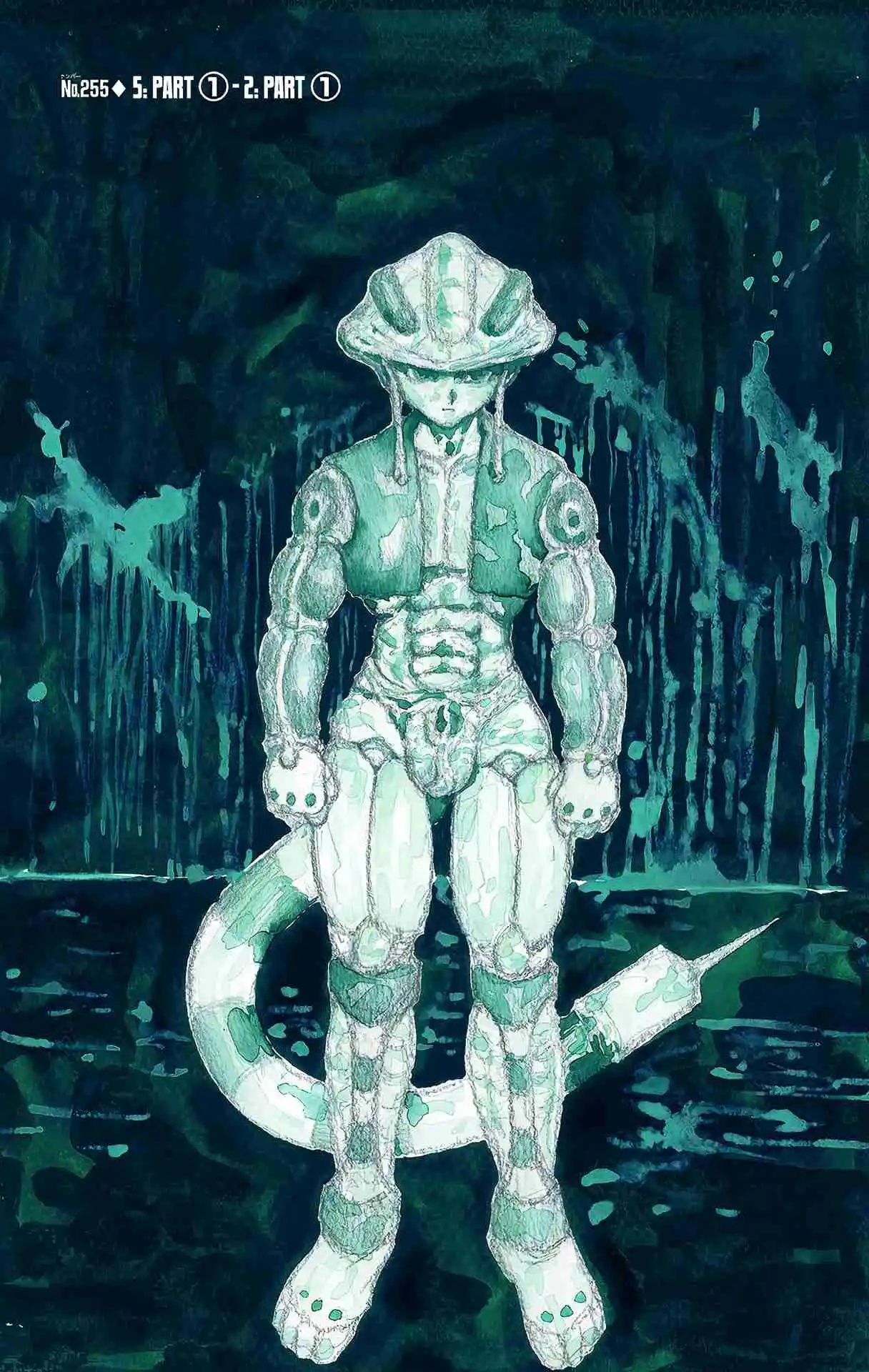 HUNTER x HUNTER - DIGITAL COLORED COMICS 255