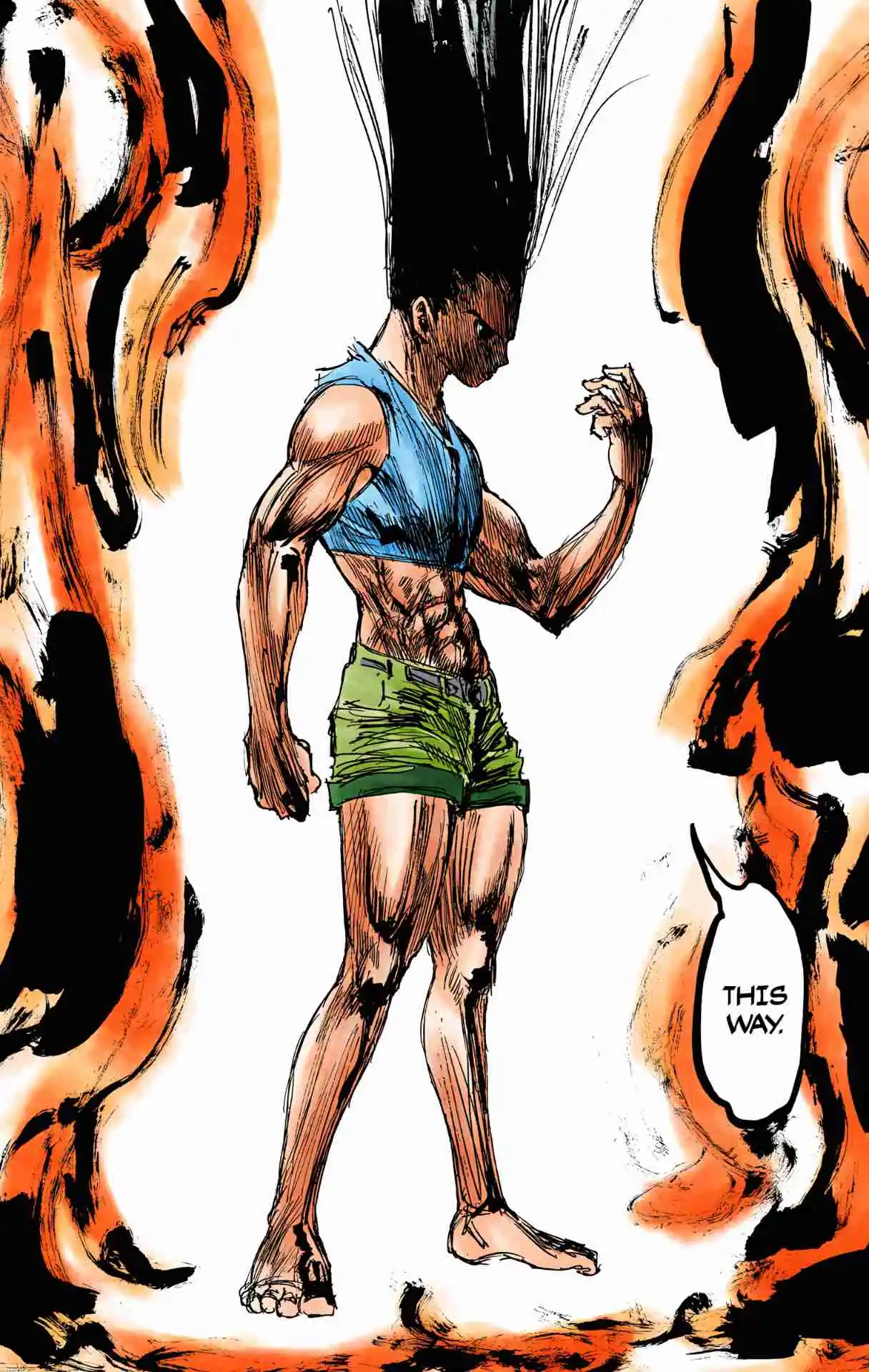 HUNTER x HUNTER - DIGITAL COLORED COMICS 306