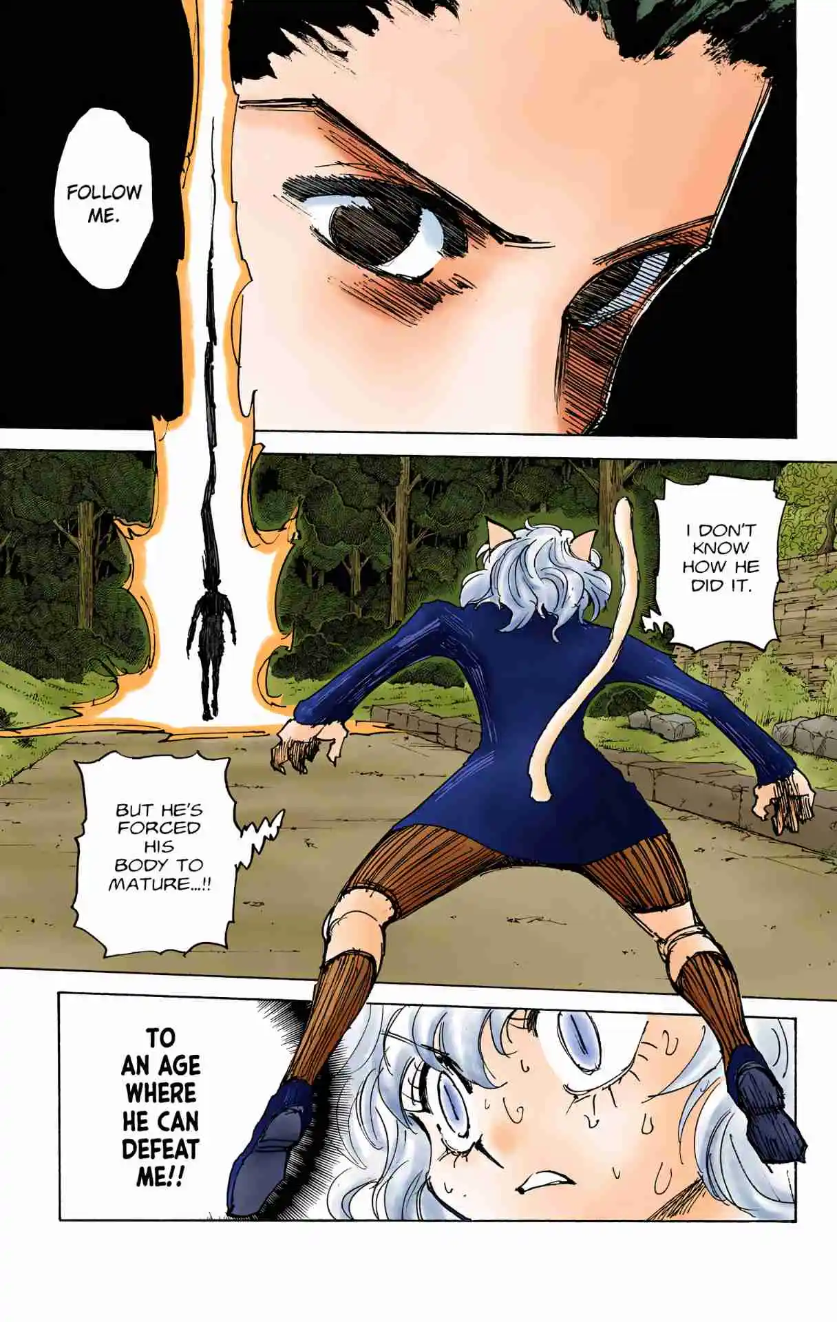 HUNTER x HUNTER - DIGITAL COLORED COMICS 306