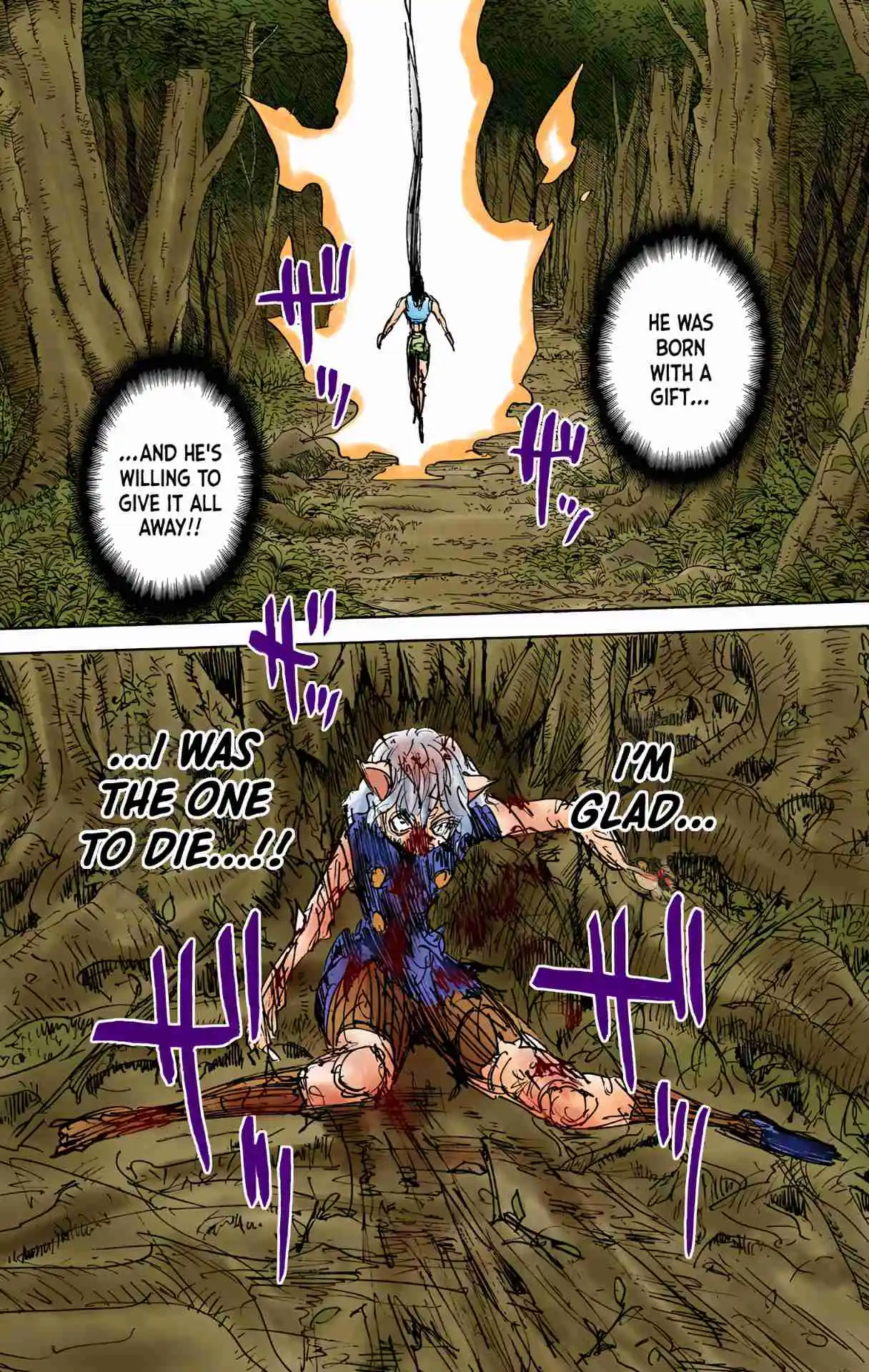 HUNTER x HUNTER - DIGITAL COLORED COMICS 306