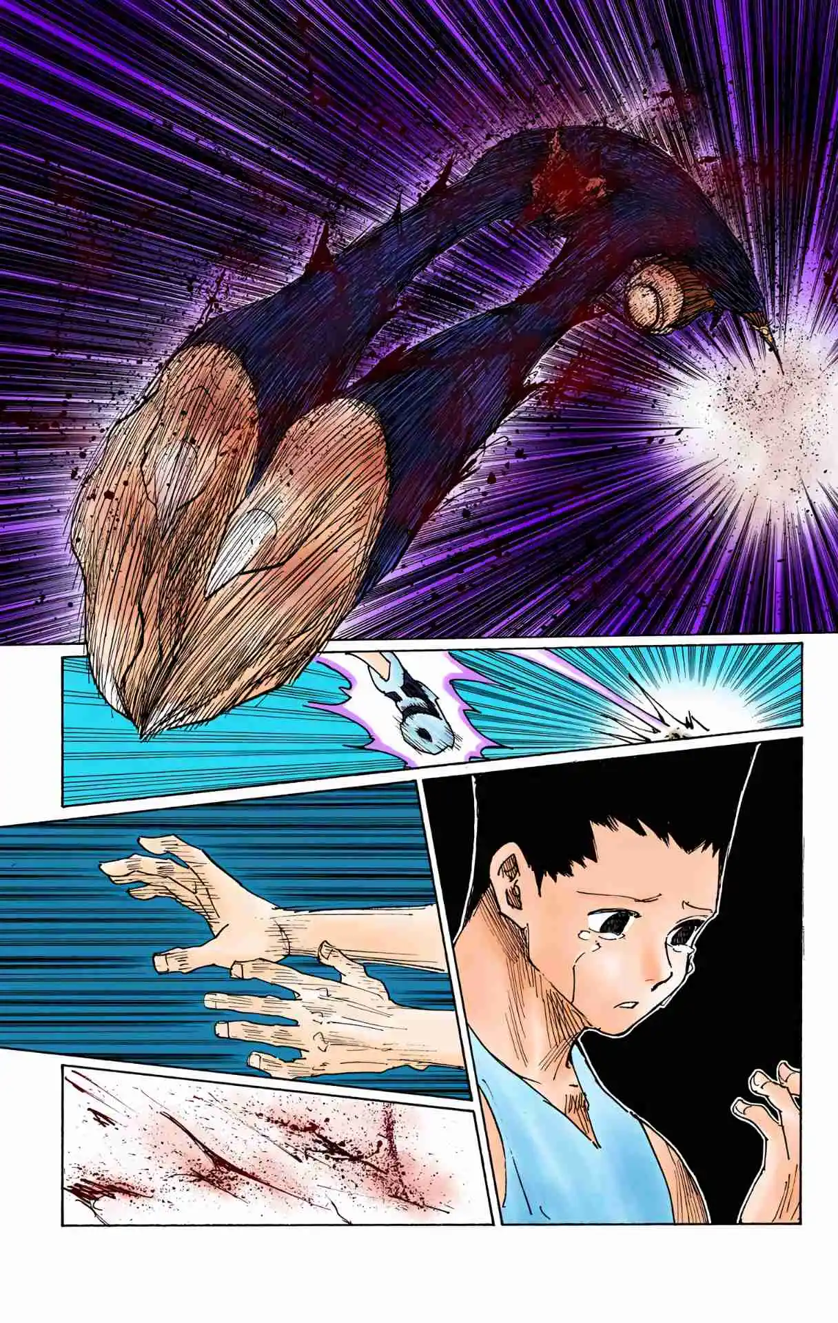 HUNTER x HUNTER - DIGITAL COLORED COMICS 307