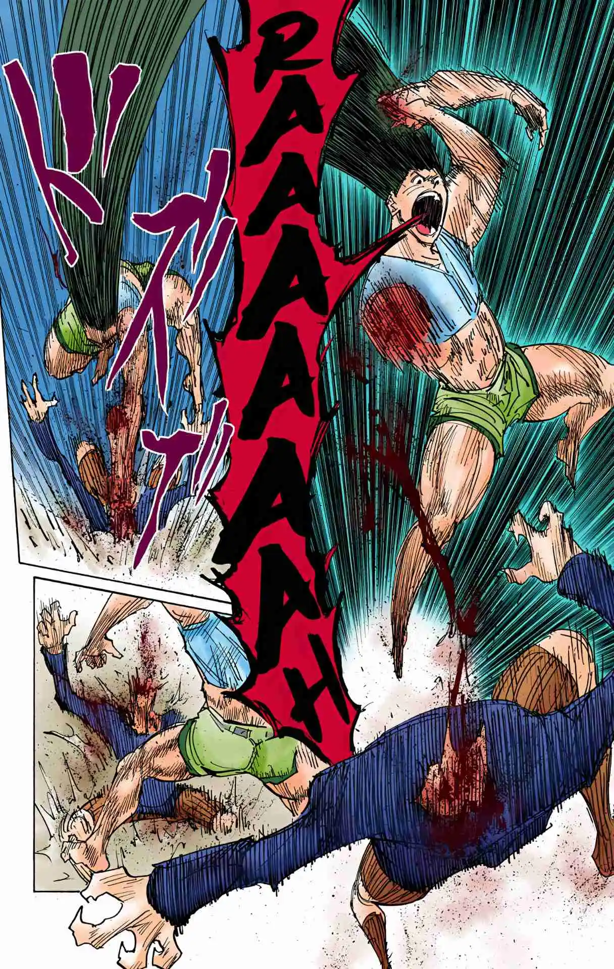 HUNTER x HUNTER - DIGITAL COLORED COMICS 307