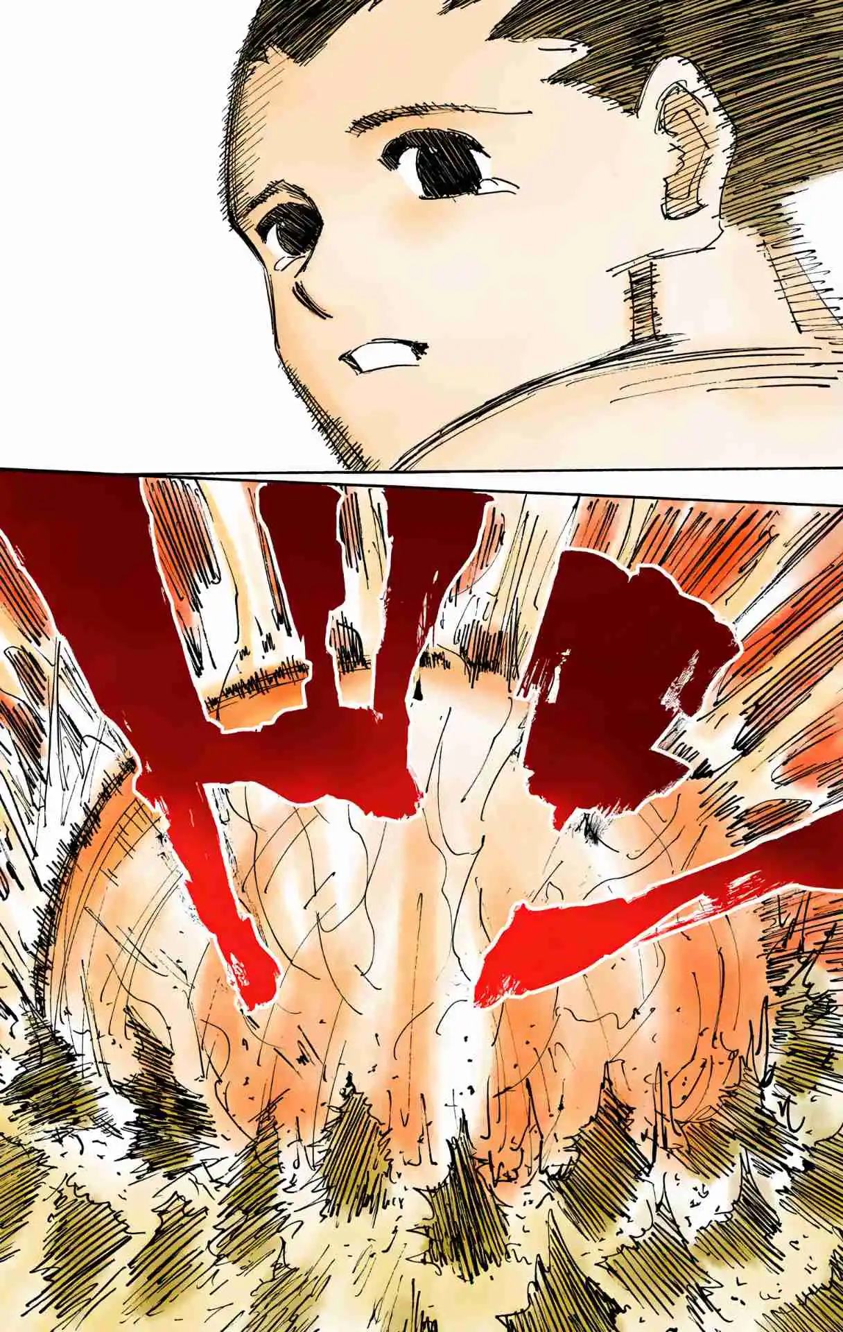 HUNTER x HUNTER - DIGITAL COLORED COMICS 307