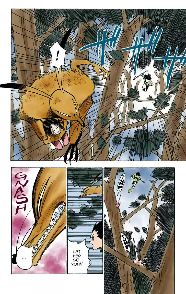 Hunter x Hunter Full Color Vol. 1 Ch. 4 Kiriko