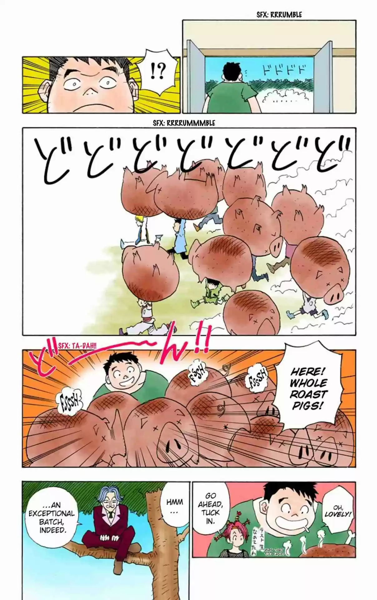 Hunter x Hunter Full Color Vol. 2 Ch. 10 An Unexpected Task