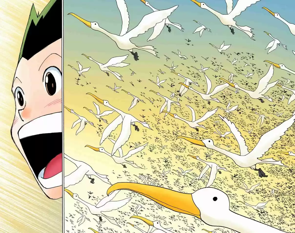 Hunter x Hunter Full Color Vol. 32 Ch. 339 Stillness