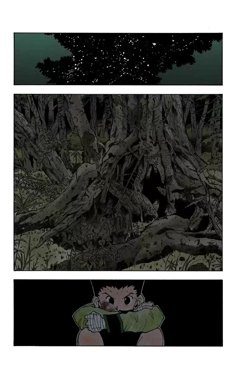 Hunter x Hunter Full Color Vol. 4 Ch. 28 A Huge Favor