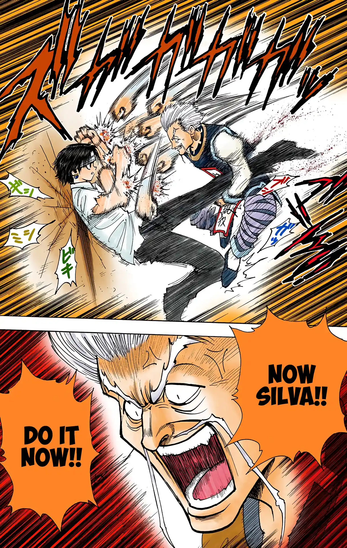 Hunter X Hunter Full Color Vol.11 Chapter 99