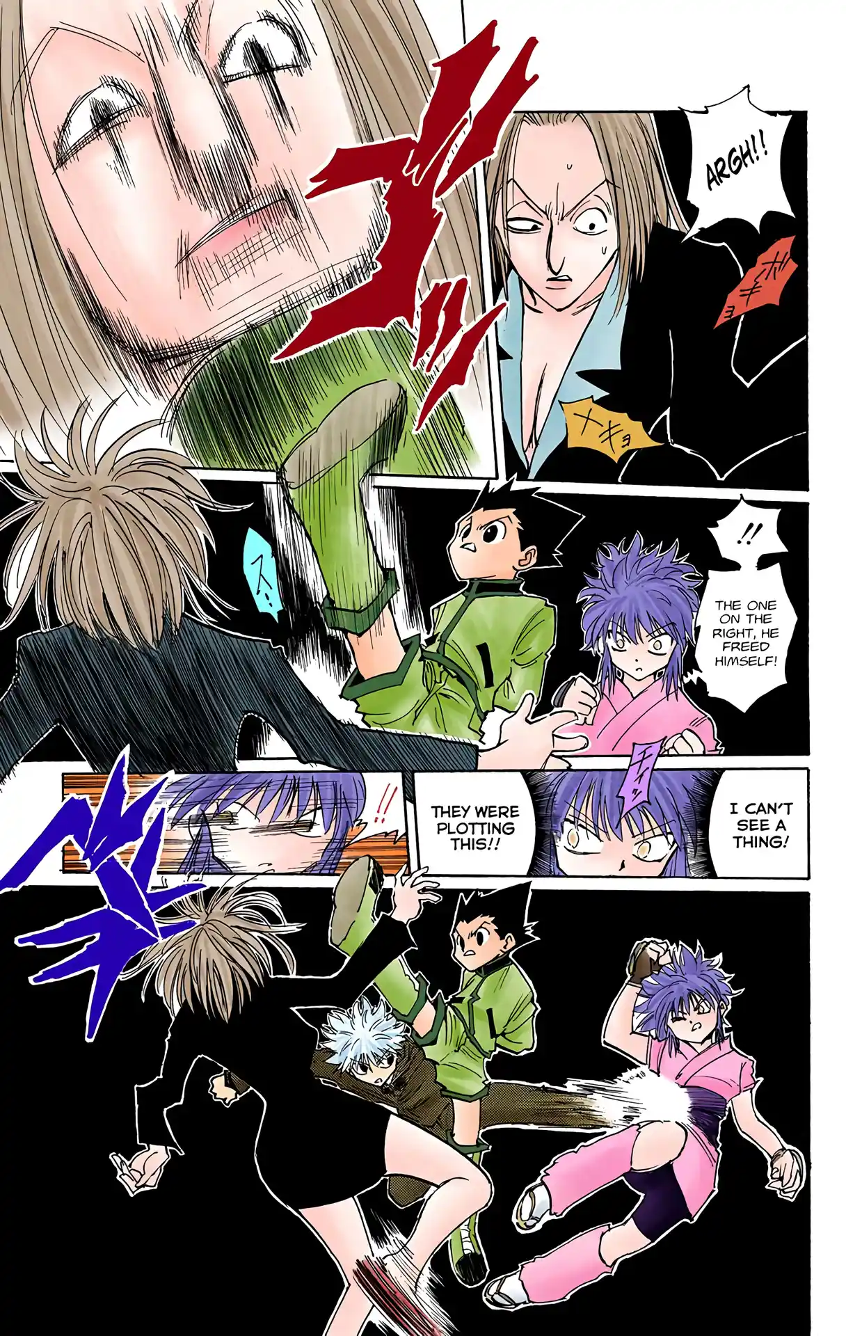 Hunter X Hunter Full Color Vol.12 Chapter 113