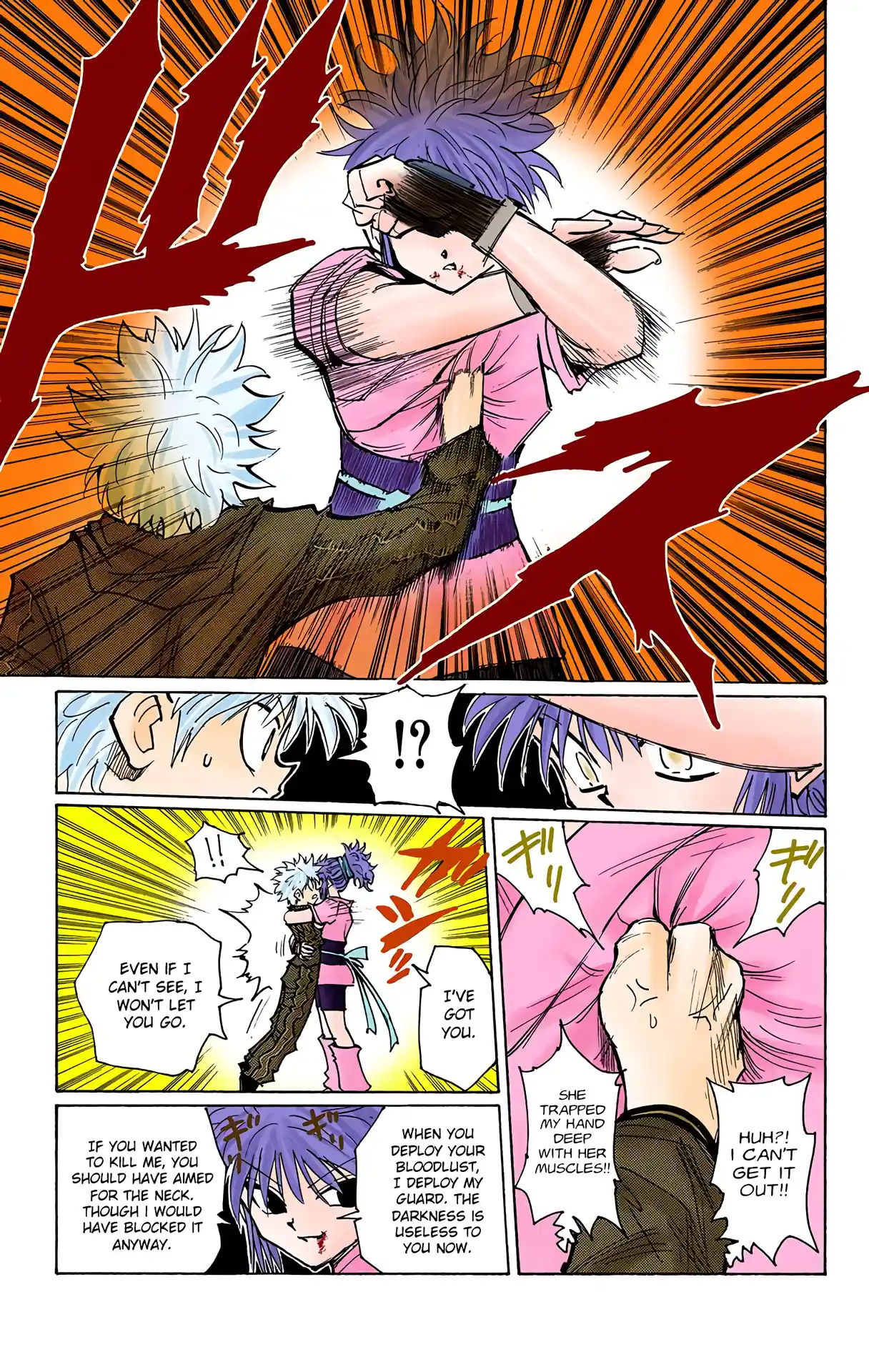 Hunter X Hunter Full Color Vol.12 Chapter 113