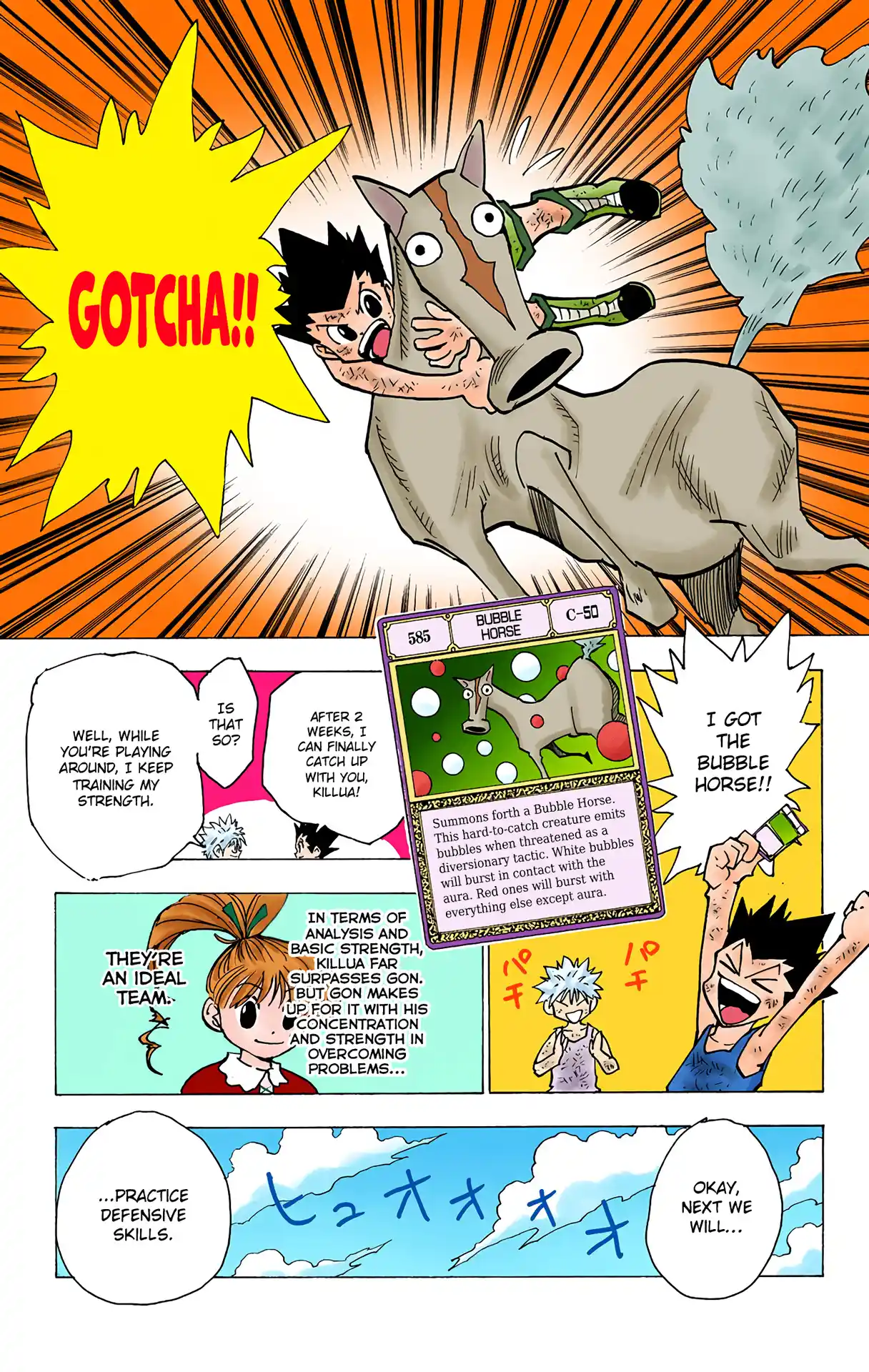 Hunter X Hunter Full Color Vol.15 Chapter 141
