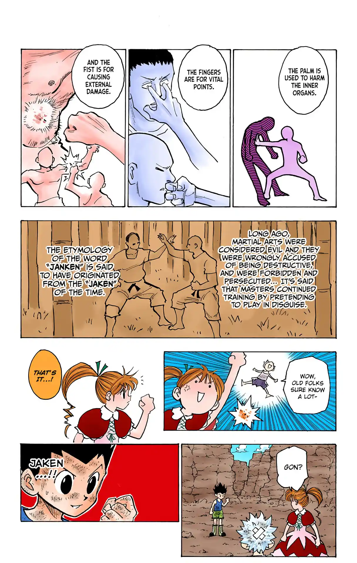 Hunter X Hunter Full Color Vol.15 Chapter 145