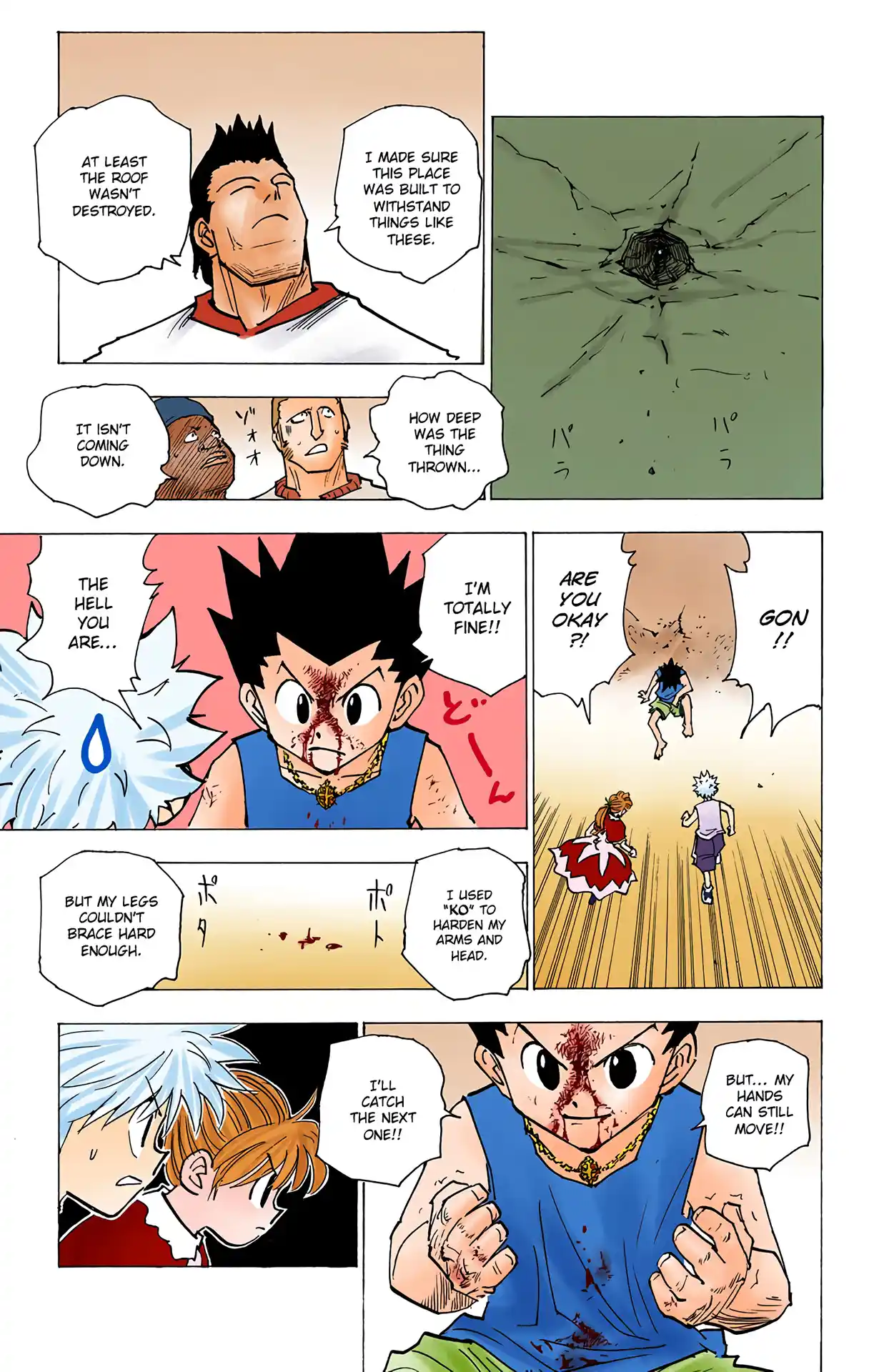 Hunter X Hunter Full Color Vol.16 Chapter 163