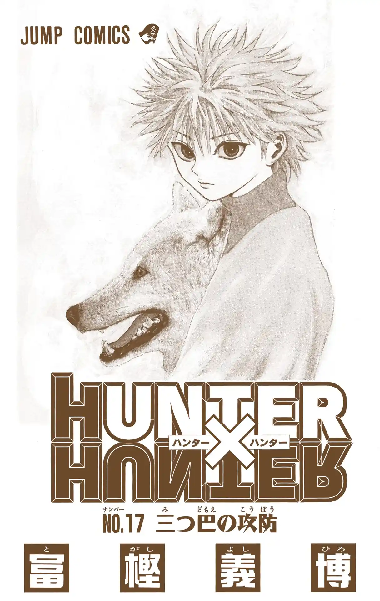 Hunter X Hunter Full Color Vol.17 Chapter 164