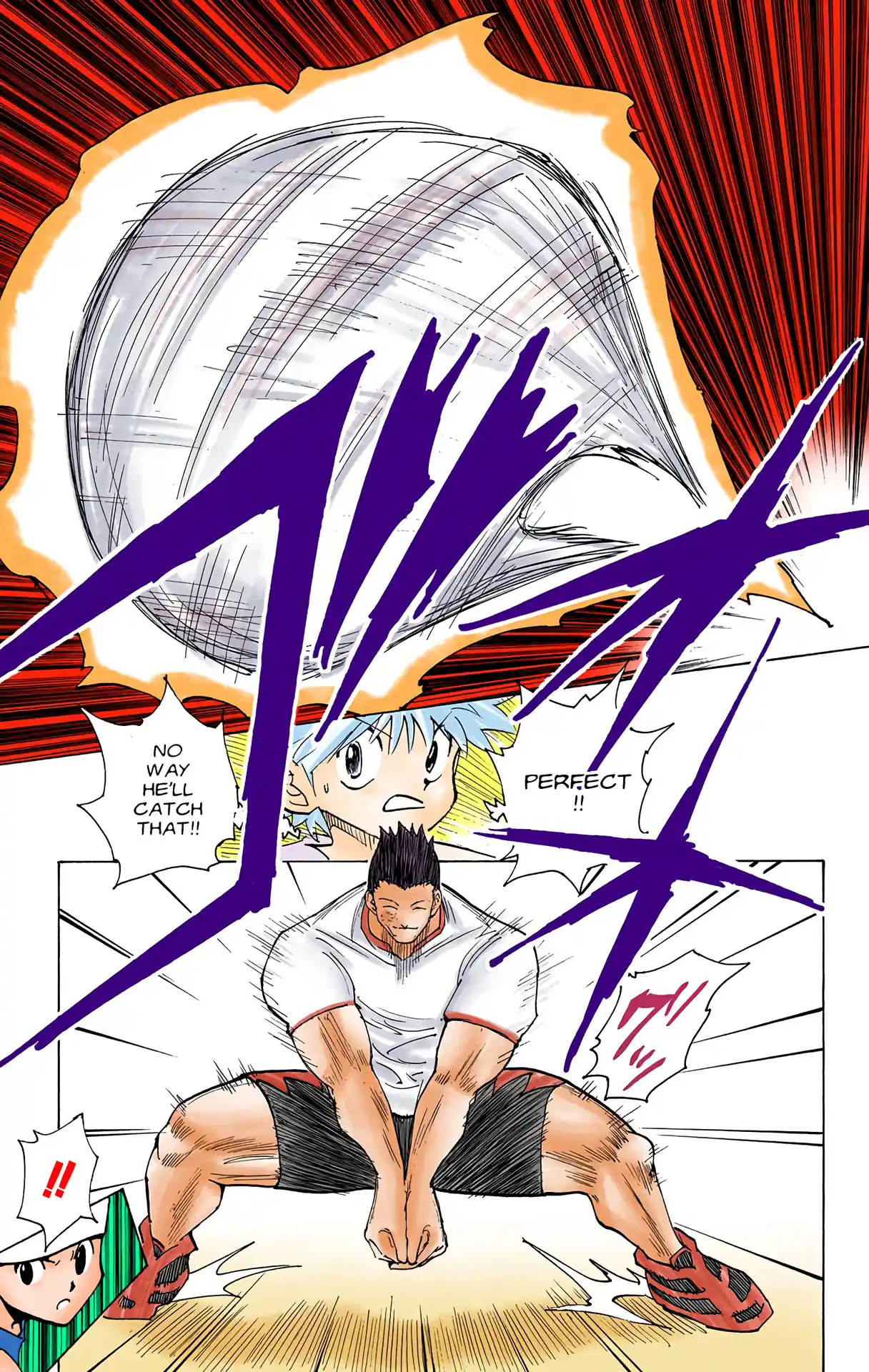 Hunter X Hunter Full Color Vol.17 Chapter 165