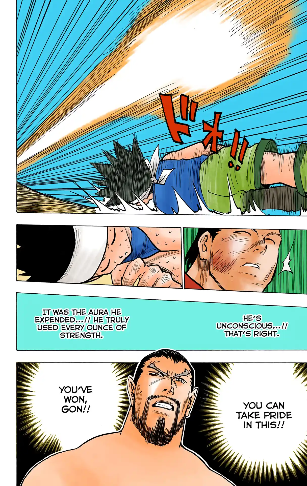 Hunter X Hunter Full Color Vol.17 Chapter 168